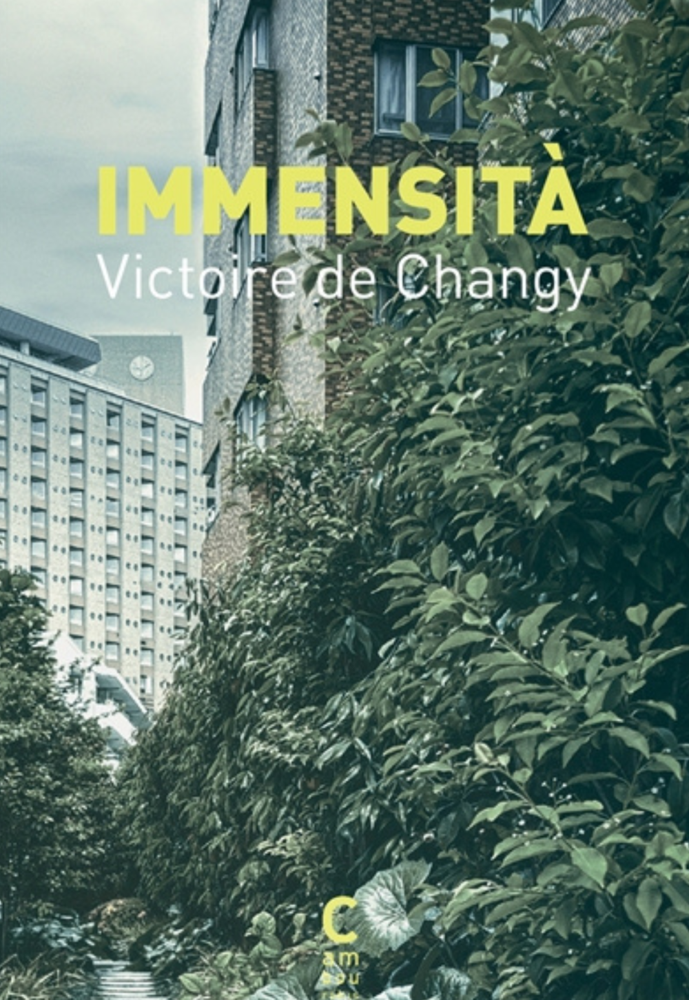 couverture du roman "Immensita" de Victoire de Changy