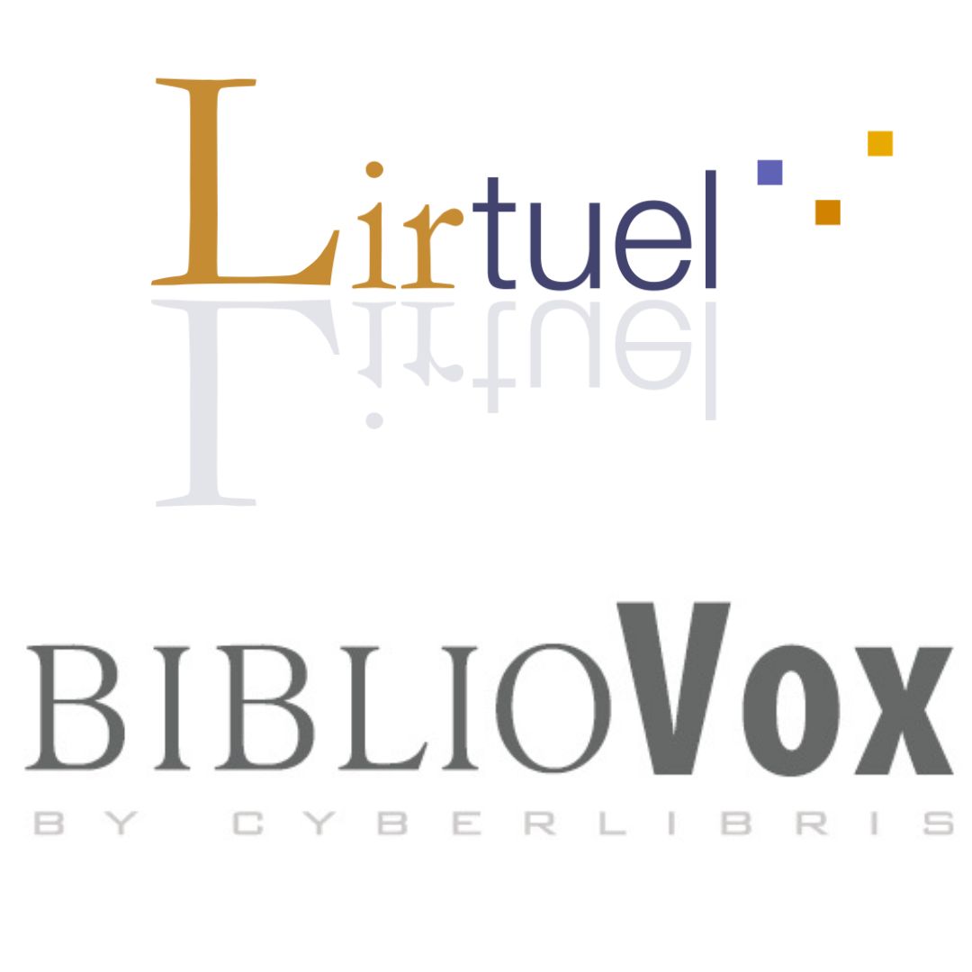 logo Lirtuel Bibliovox