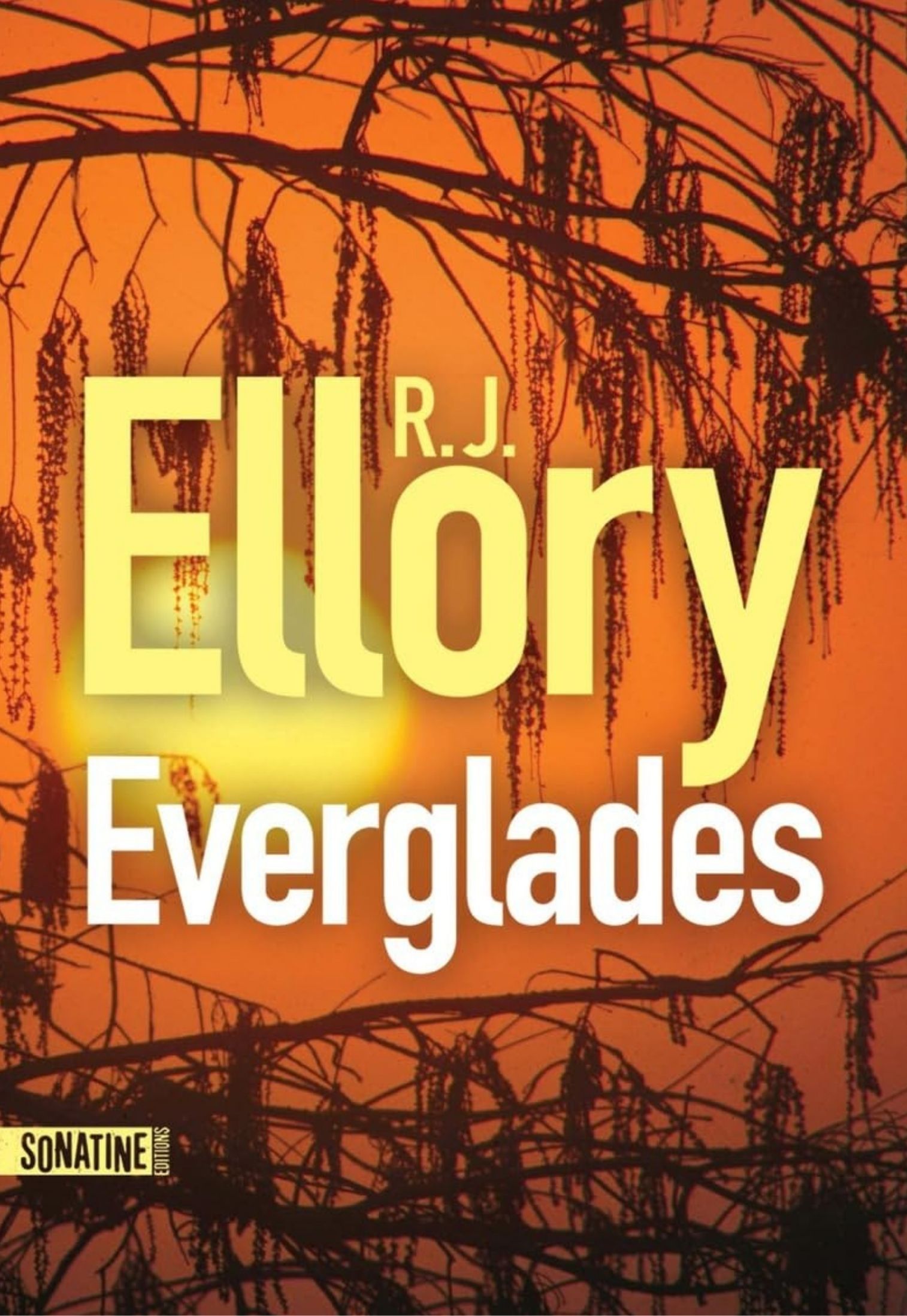 Everglades de R.J.Ellory
